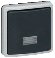 Переключатель 1-клавишный с индикацией (с лампой), для скрытого монтажа  IP66